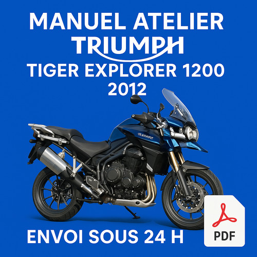 Manuel atelier triumph - atelier,