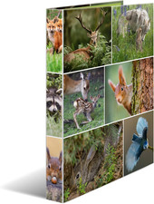 Raccoglitore Ad Anelli A4