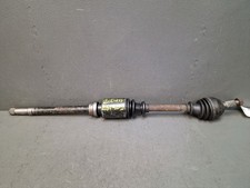 Cardano Anteriore Destro -