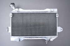 Radiatore Acqua Racing