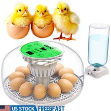 Automatic egg incubator - automatic,