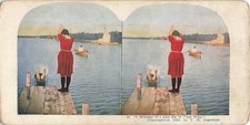 Stereoscopic View Card No88 I