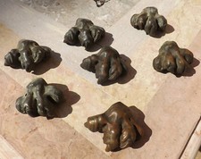 Gruppo di 7 sculture zampe
