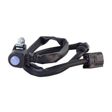 bottone mappe centralina Riolo