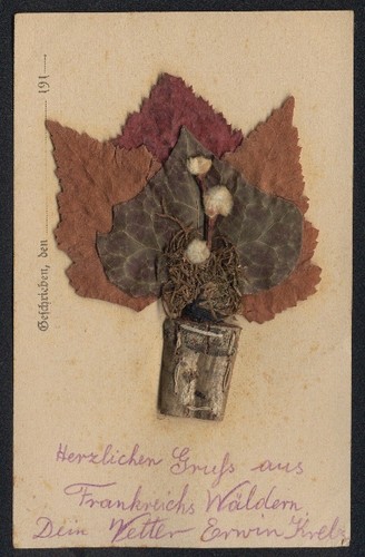 Cartolina fiori secchi
