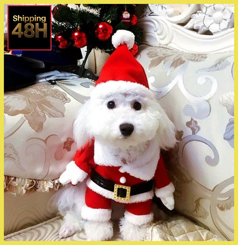 Costume babbo natale cane - babbo,
