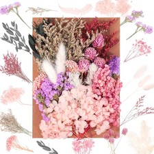 JIEYUCHU Fiori Secchi