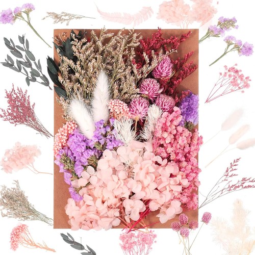 Jieyuchu fiori secchi - jieyuchu,