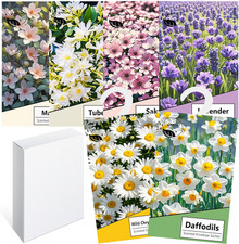 6Pcs Profuma Armadio Vestiti