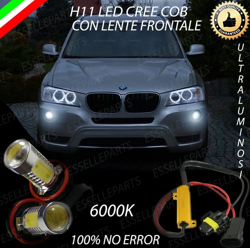 Coppia lampade fendinebbia h11 - coppia,