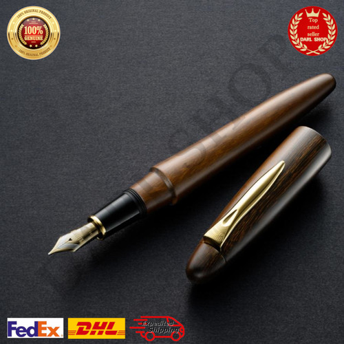 Penna stilografica platino