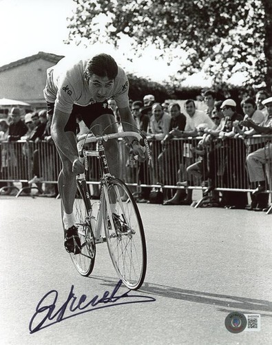 Foto firmata eddy merckx 8x10 - eddy,