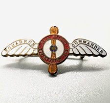 Vintage Pin Badge Daily Record