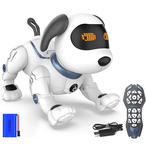 Cane robot radiocomandato - cane,