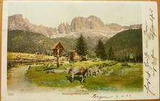 Cartolina Gruppo Catinaccio 1905 Mucche Montagne Bolzano Fiè Siusi Catinaccio Sciliar