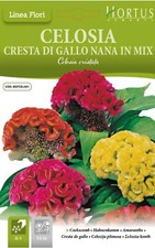 Celosia Cresta Di Gallo Nana In Mix in Busta termosaldata