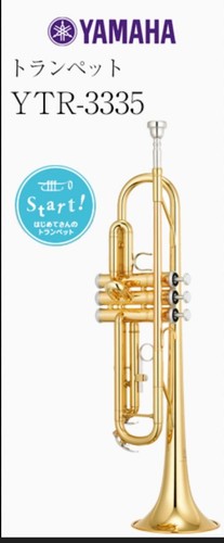Strumento fiato yamaha - strumento,