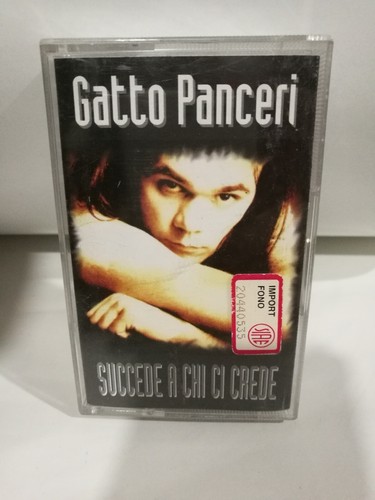 Gatto panceri succede - chi, ci