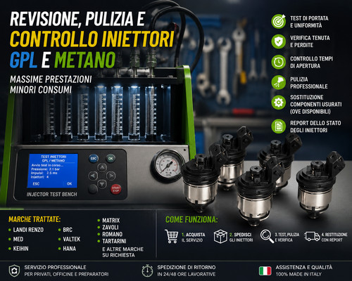 Revisione pulizia controllo - pulizia,
