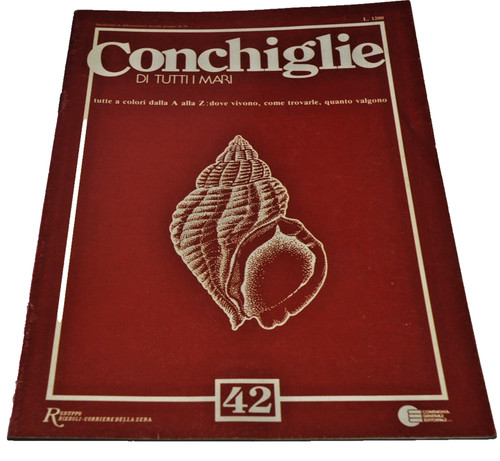 Conchiglie tutti mari - tutti,