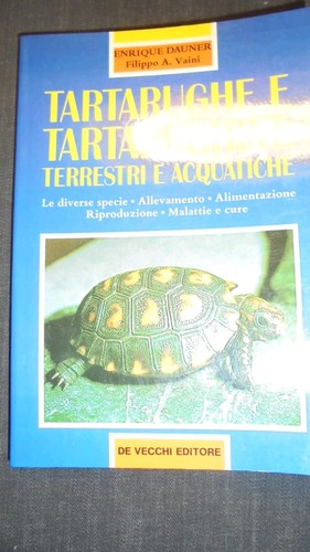 Tartarughe tartarughine - e,