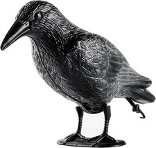 Corvo Scaccia Piccioni,Spaventa Piccioni E Uccelli,Corvo Finto Da Balcone,Corvi 