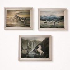 Set 3 stampe vintage Justo
