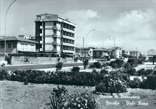 Cg343 cartolina marina - cg343, di