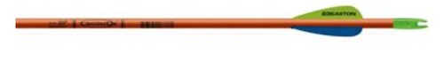 Frecce easton scout - scout., solo