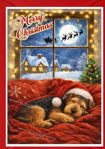 Biglietto natale welsh - biglietto, di