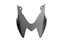 Carena posteriore in carbonio per BMW S1000R 2014-2020