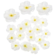  100 pezzi mini fiori