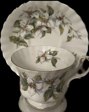 Tazza da tè e piattino