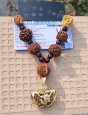 Rudraksha Rudraksh 1 2 3 4 5 6