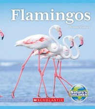Flamingos (Nature's Children)