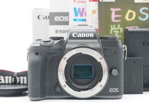 Fotocamera digitale mirrorless