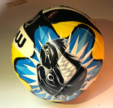 Pallone professionale MOLTEN