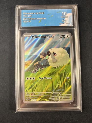 Pokémon moumouton 170 159 - pokémon,