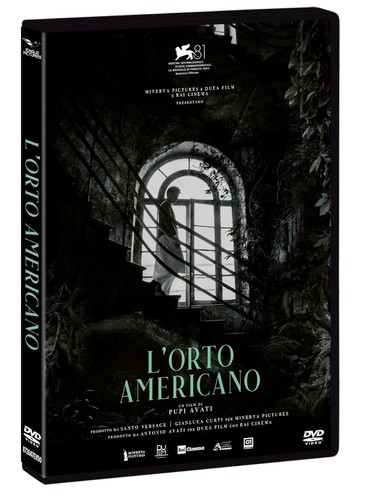 Dvd orto americano - americano, (2024)