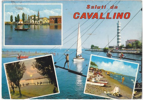 Cavallino venezia saluti - cavallino,
