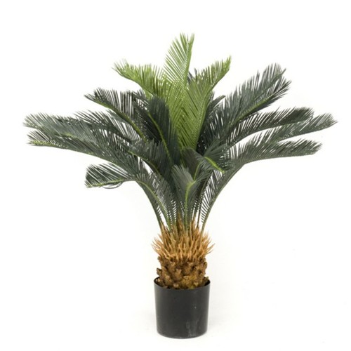 Palma artificiale cycas - palma,
