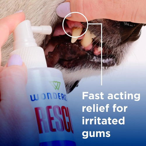 Spray orale cani gatti cura - orale, e
