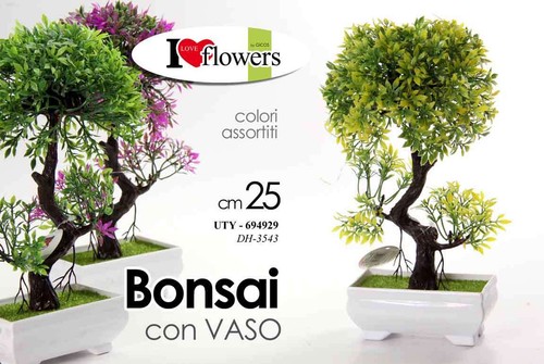 Pianta piantina bonsai finto - piantina,