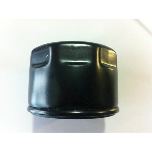Filtro nafta esterno motore - nafta,