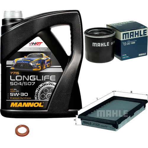 Pacchetto ispezione mahle - ispezione, 5l