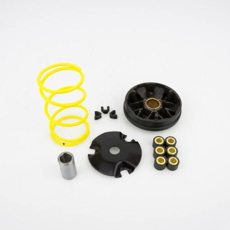 10260260 variatore pinasco - 10260260,