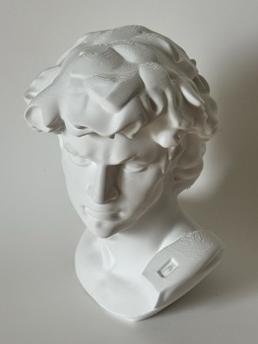 Busto decorativo david - busto, di