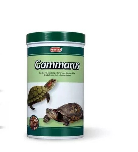 Padovan gammarus mangime - gammarus,