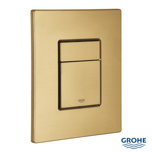 Placca skate cosmopolitan oro - skate,