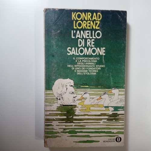 Anello salomone - l'anello, di